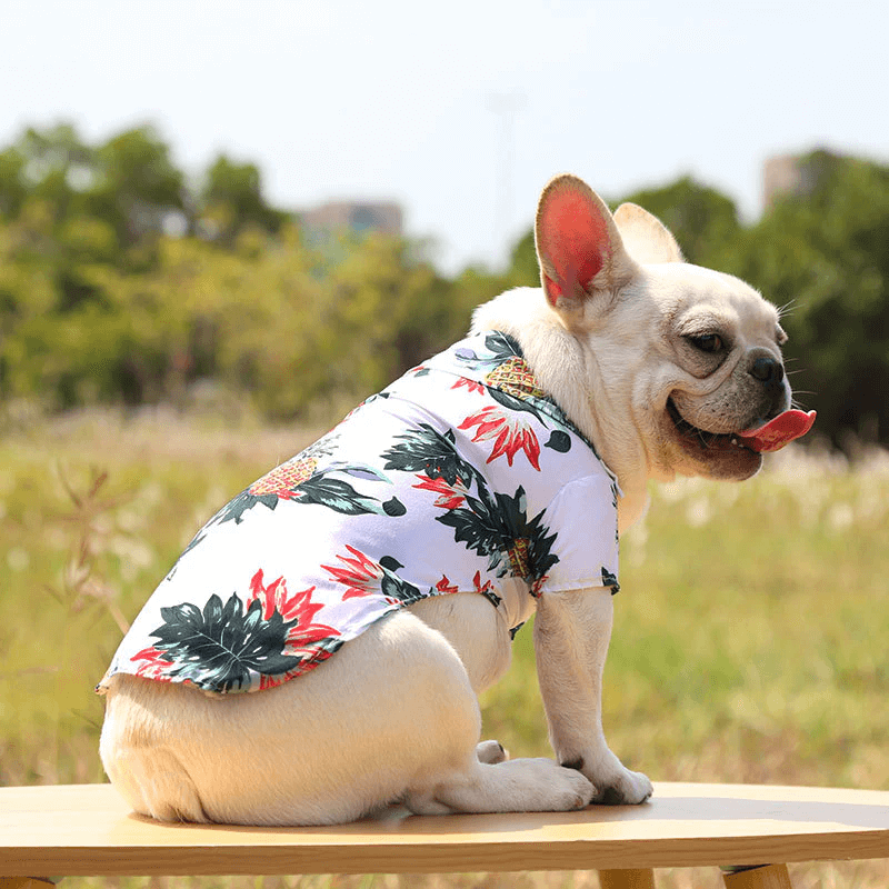 Hawaiiansk Strand-Skjorta för Husdjur