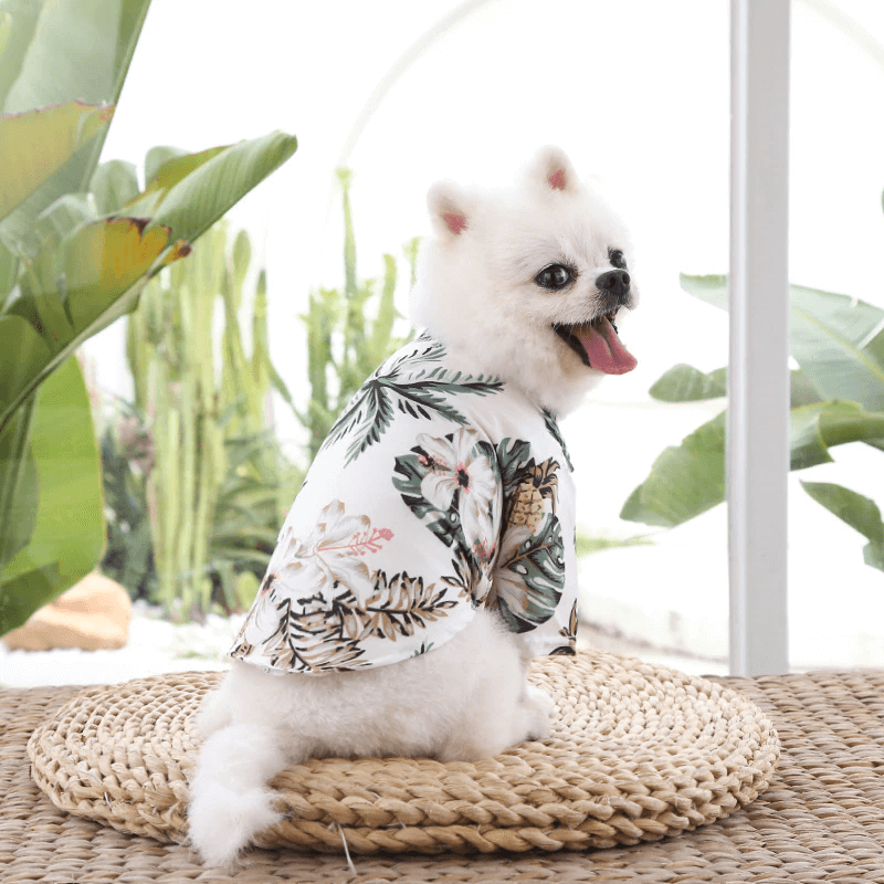 Hawaiiansk Strand-Skjorta för Husdjur